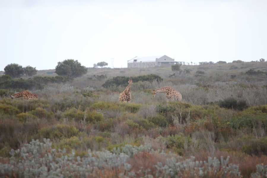 2 Bedroom Property for Sale in Hopefield Western Cape